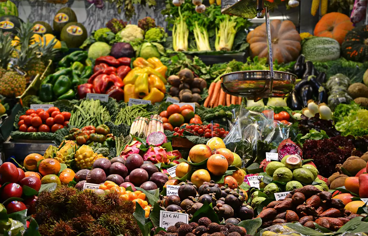 Alimentação Funcional